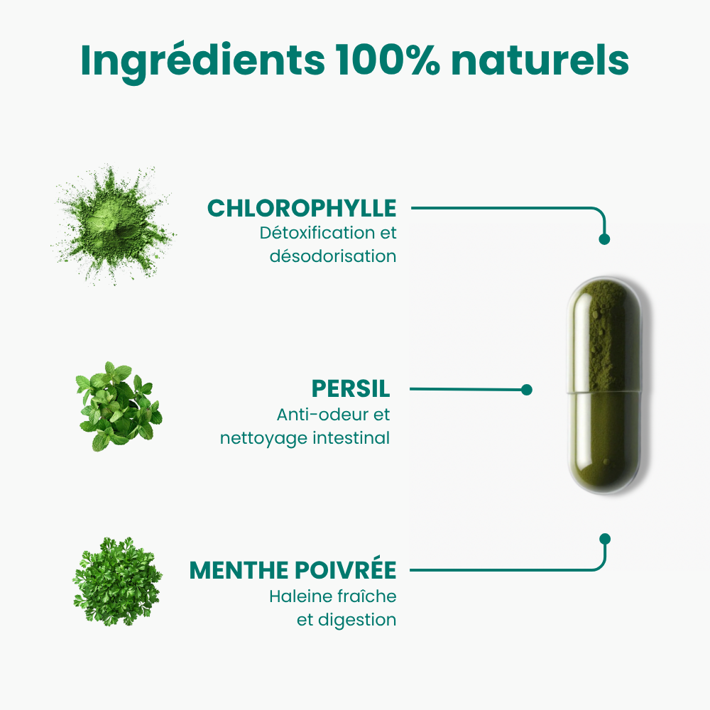 Refresh | Déodorant interne complet